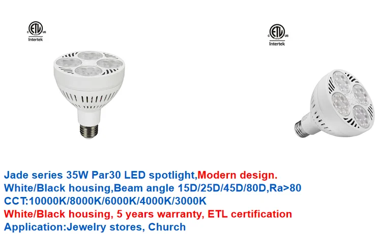 paste-pic-dp_uuid_47z61