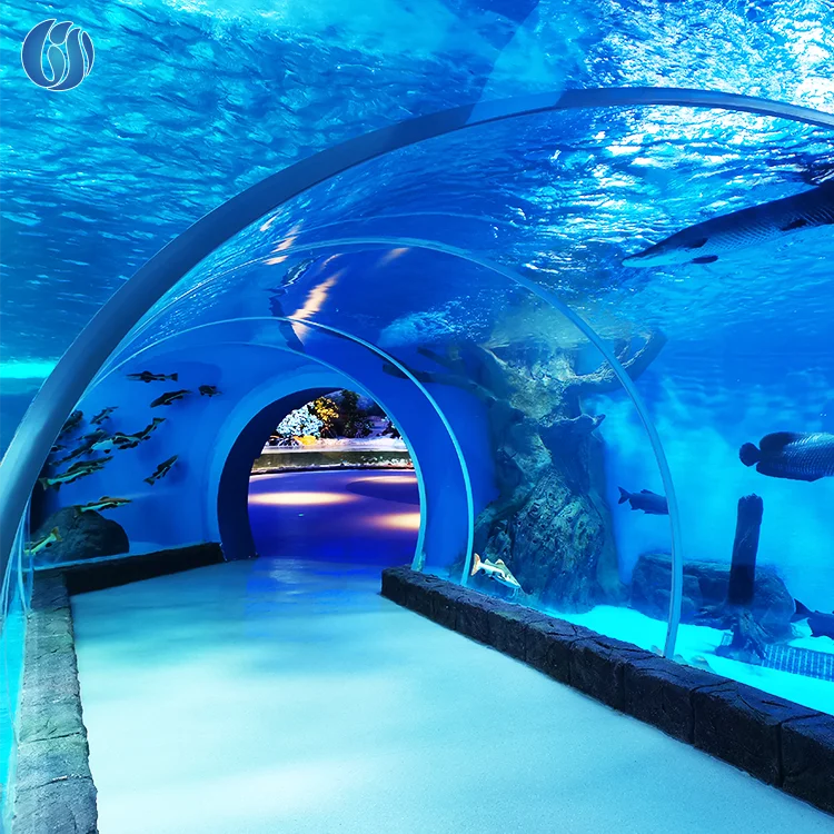 Lesheng Large-scale entertainment facilities construction acrylic lazy river tunnel with high light import material