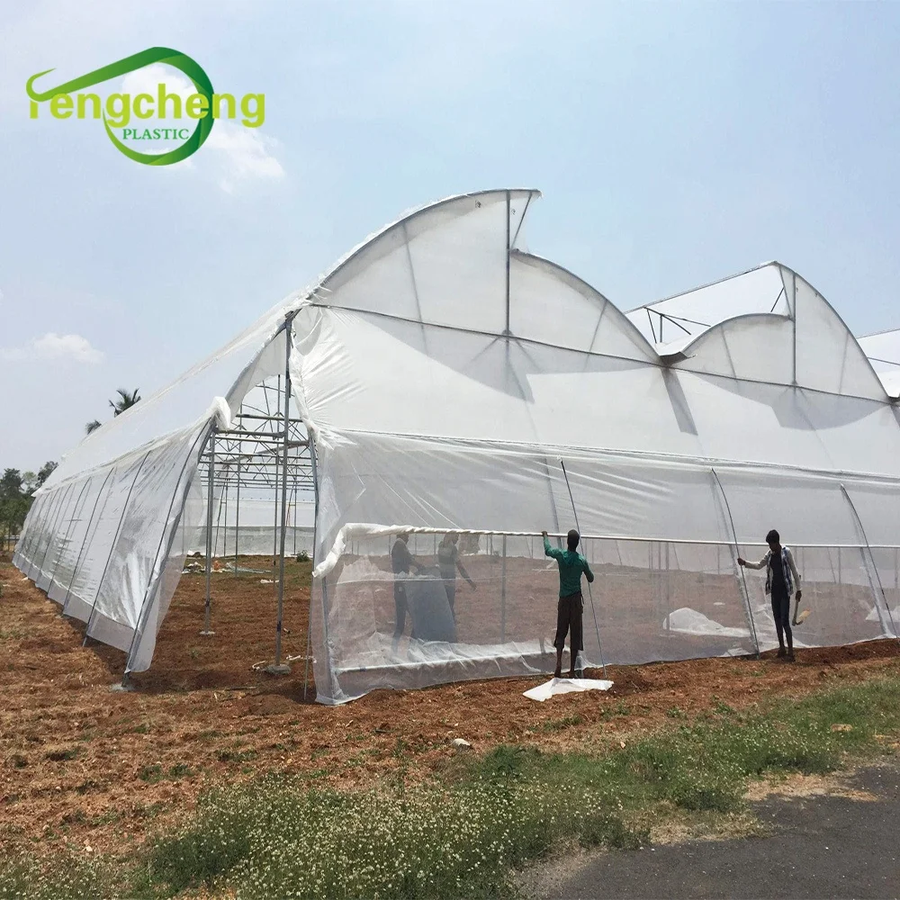 New Style Vegetable Agricultural UV Treated Plastic Film Greenhouse for Sale