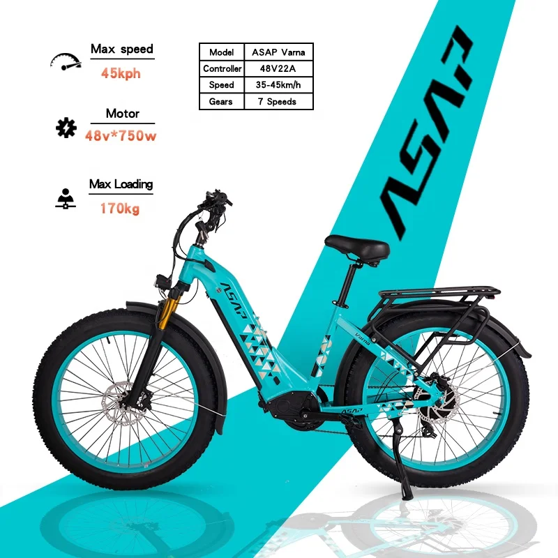 Equipped 750 Watt Motor Super E-bike Using 48V Lithium Battery Powered Chinese Make Electric Bike