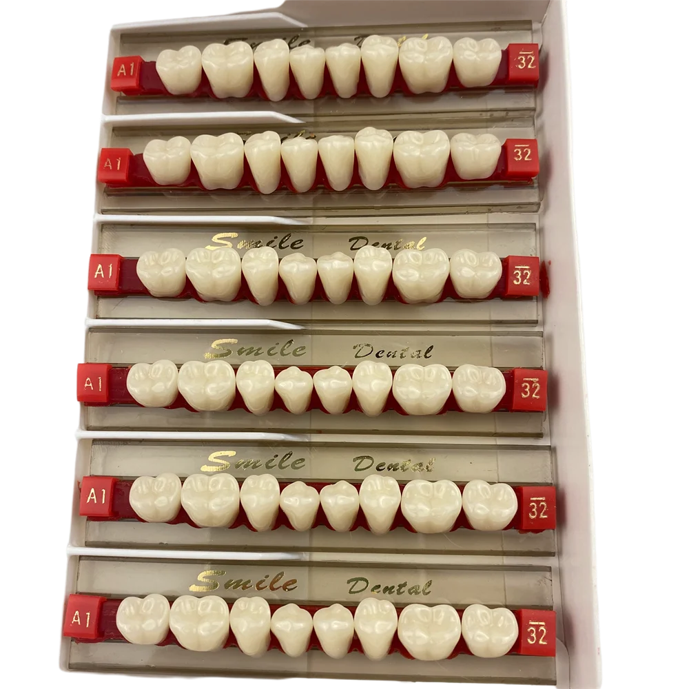 Dental Posteriors Teeth Artificial Acrylic Resin Teeth 3-Layer False Teeth