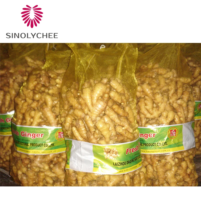 New Crop Fresh Ginger For Sale Dry Ginger Red Wholesale From China Supplier Export