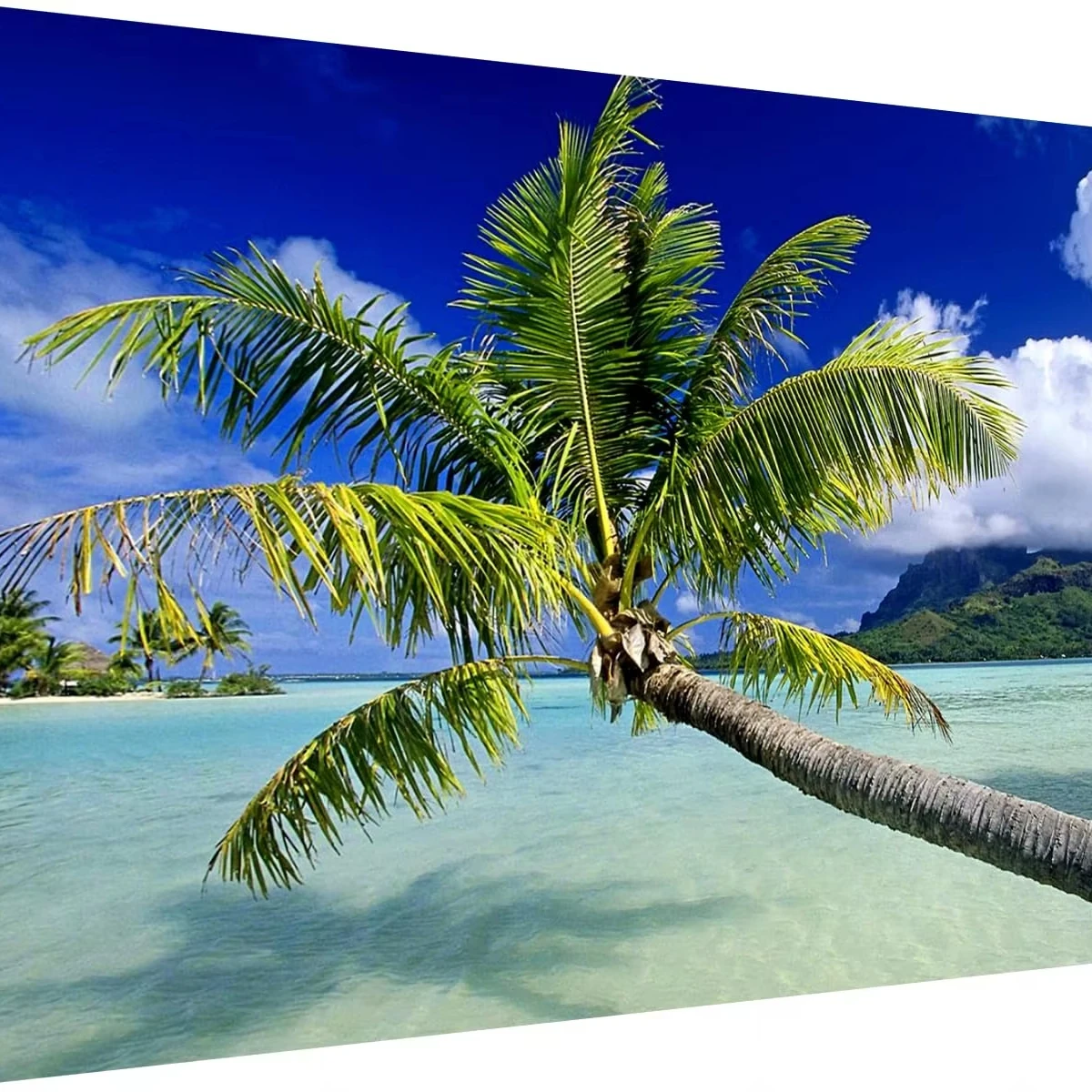 Drop Shipping Sea View Diy Diamond Painting Full Jumbo Garden Ornament Photo