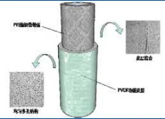 NIPS/TIPS PVDF Hollow Fiber Membrane for Waste Water Treatment