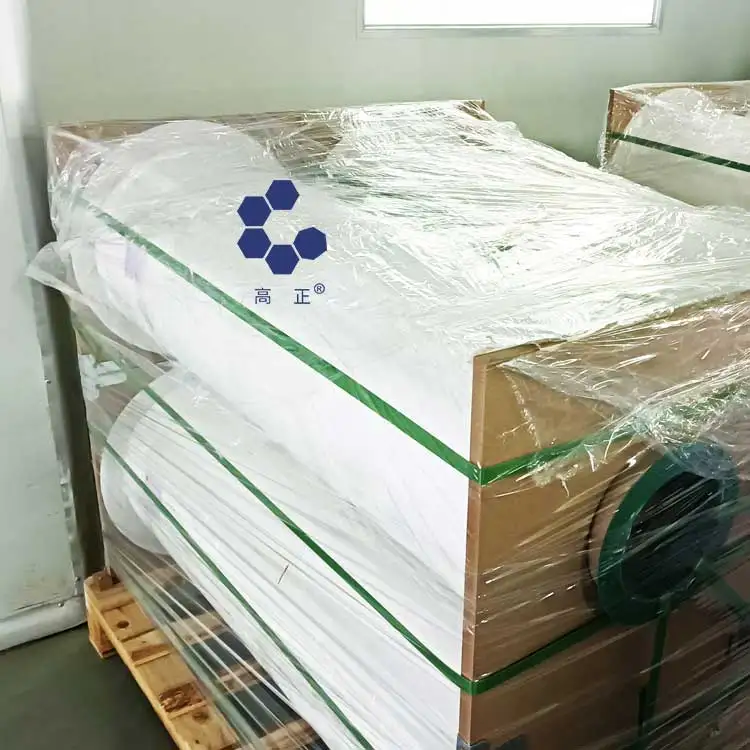 Tremendous chemical resistance PVDF cast film for solar panels