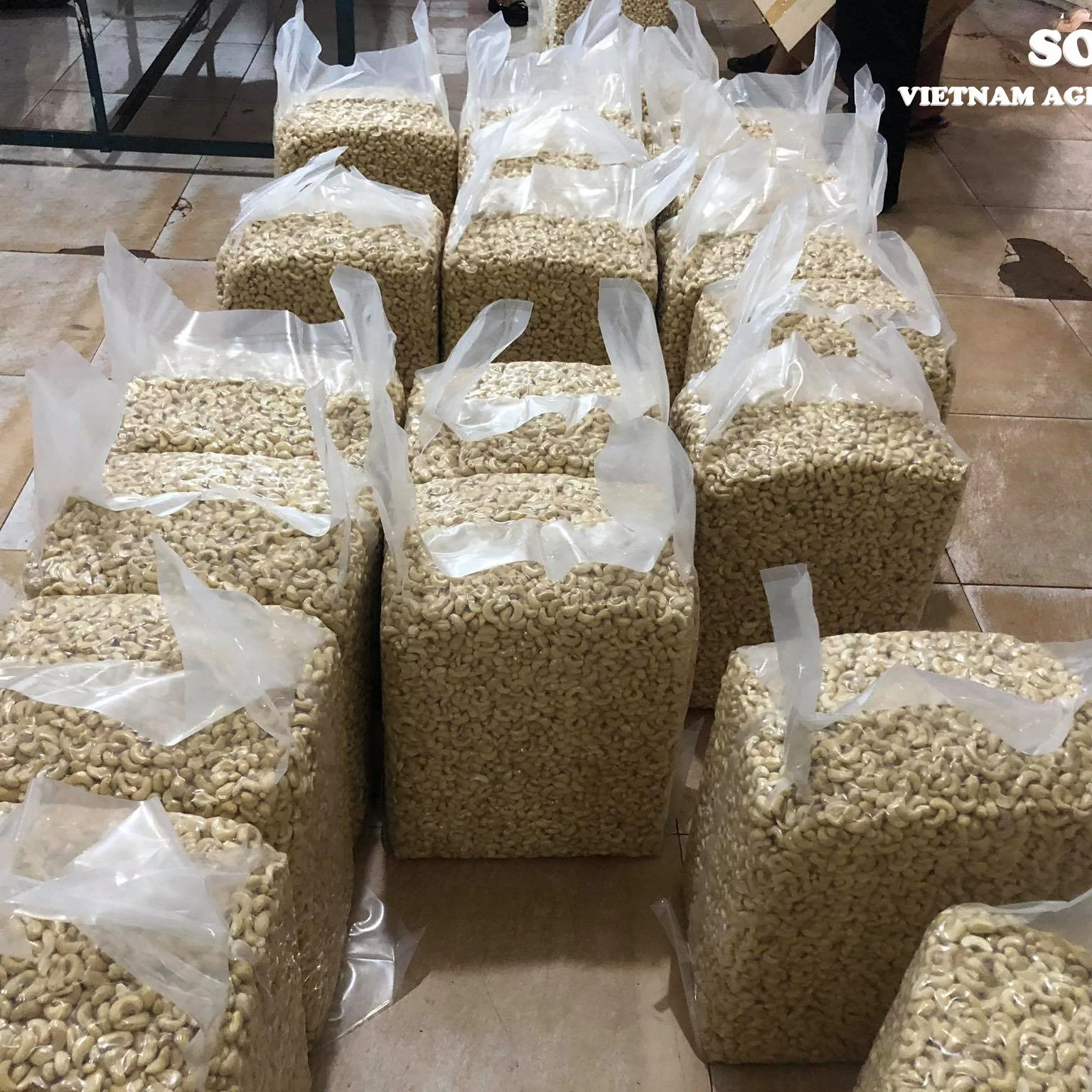 Cashew Nuts All Types (W180 W240 W320 W450) For Wholesale / Best Cashew Nuts Supplier From Vietnam - W240