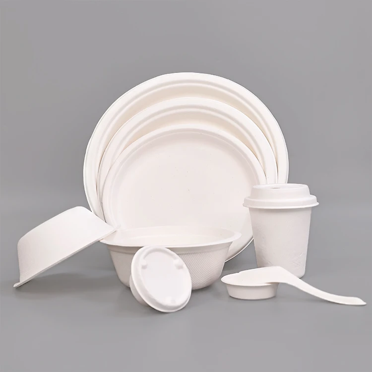 Disposable  dinner plate eco-friendly elegant disposable plates kitchen plates