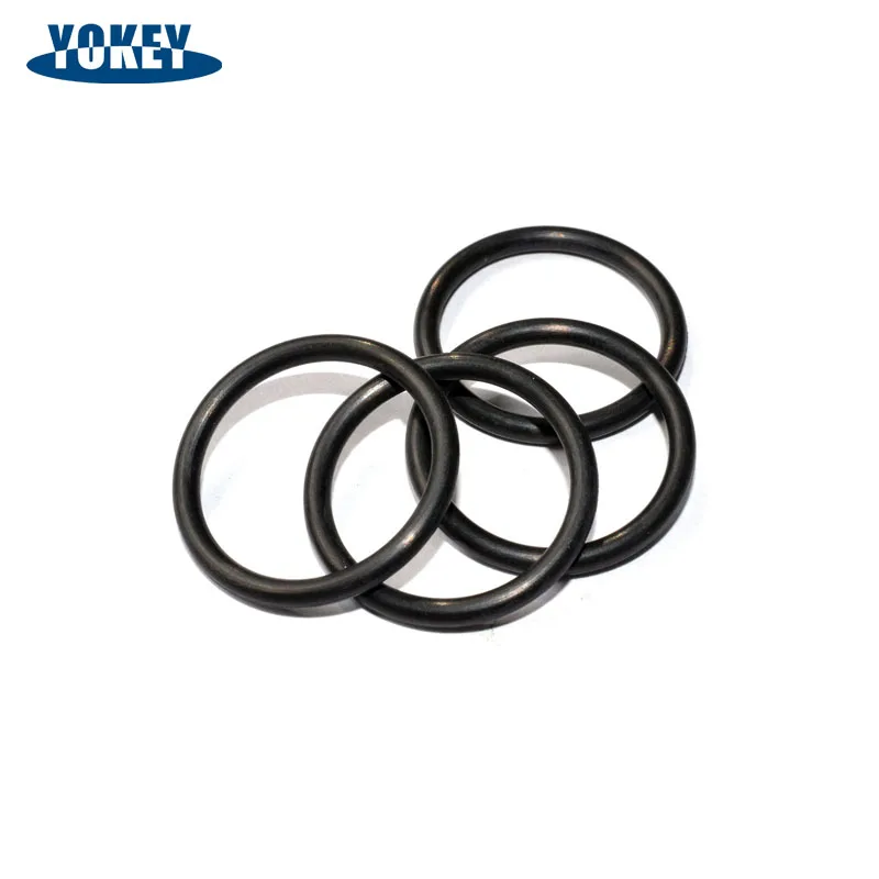 Good Acid and Alkali Resistant FKM O-RING High Temperature Resistance Rubber Seal O-Ring