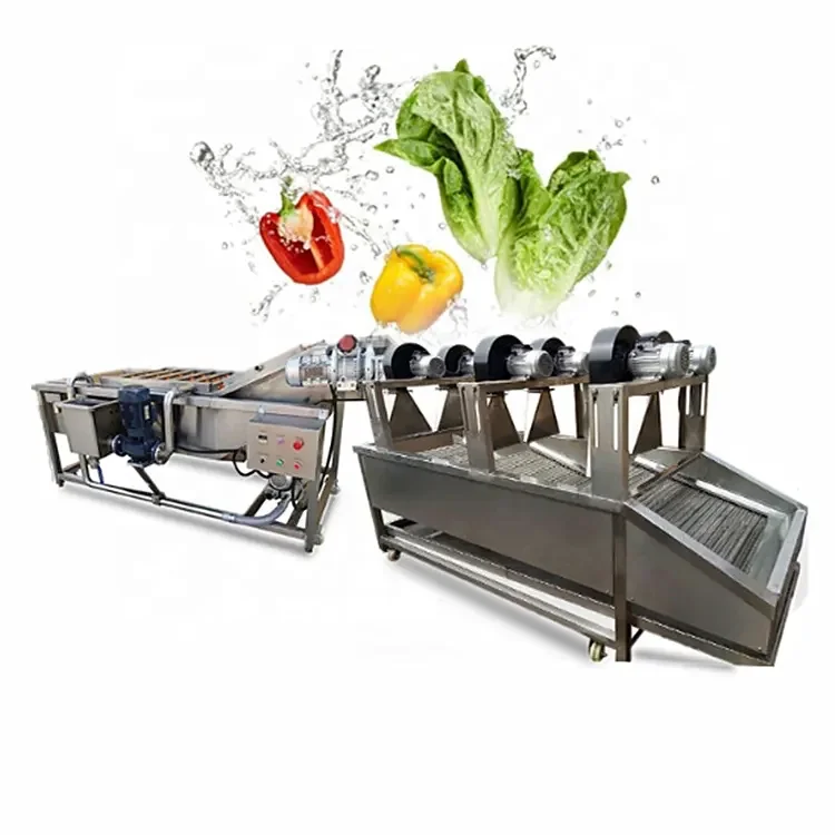 Automatic onion and garlic washing and cleaning machine / fruit washing machine vegetable bubble washer