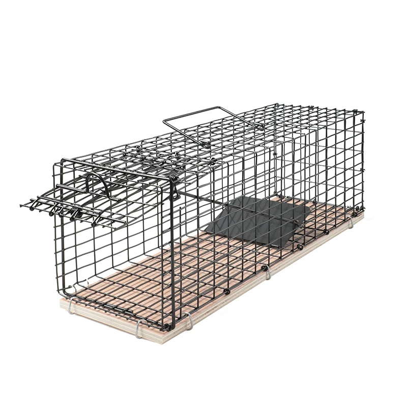 Wholesale Live Animal Automatic Galvanized Mouse Trap Cage Humane Live Catching Rats Trap Cage