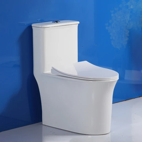 New arrival washroom wc sanitary ware floor mounted s trap inodoro ceramic toilet for bathroom