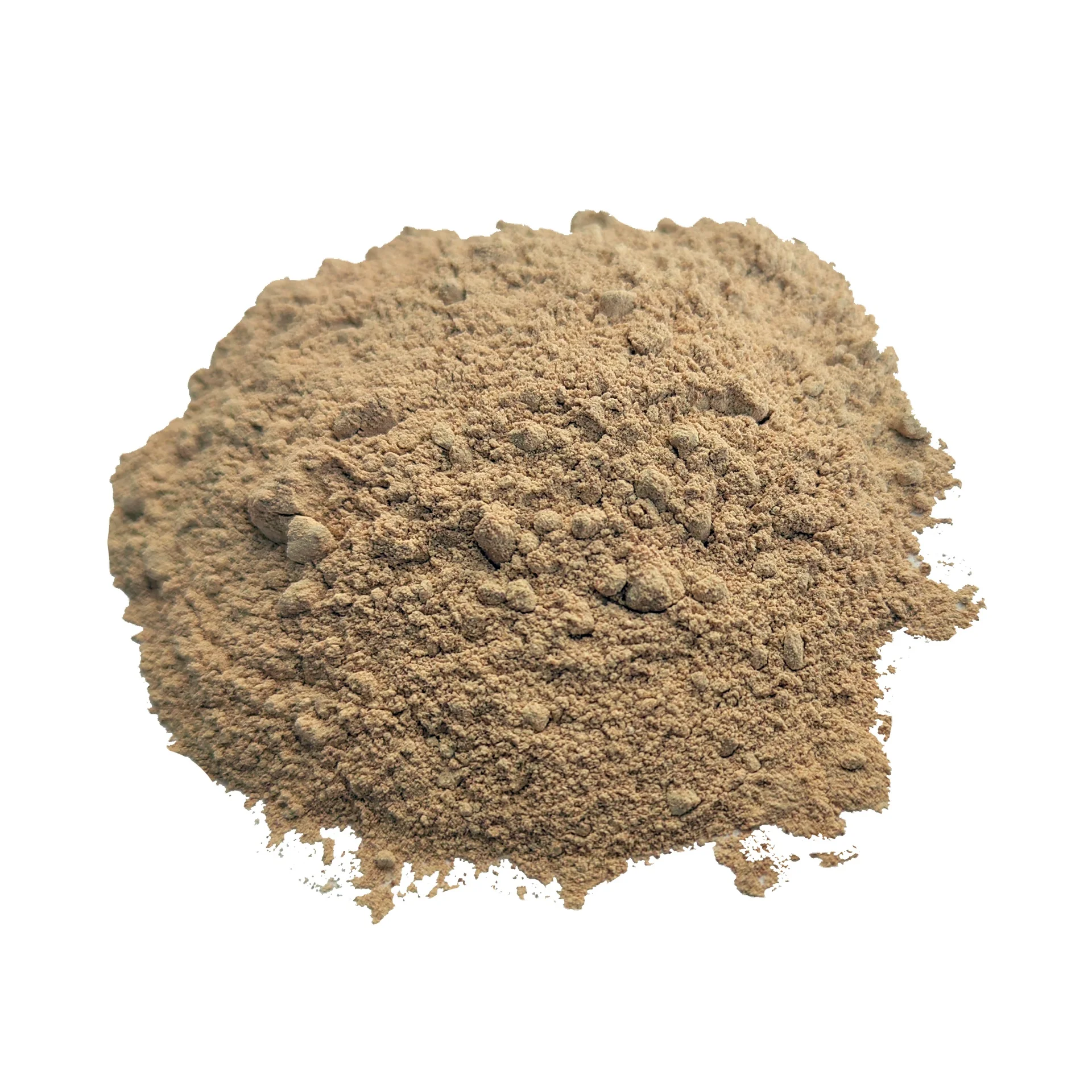 Stomach Protein Digestive Enzymes 98% beer yeast powder