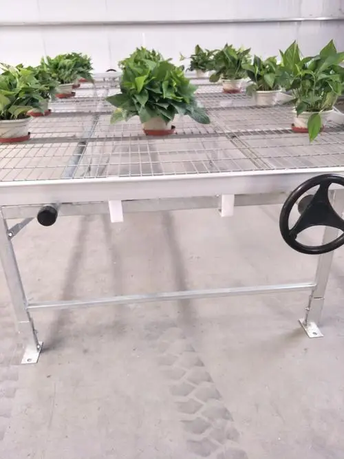 Commercial Greenhouse Seedbed 4X8 Ft Nursery Bed Ebb And Flow Tray Hydroponics Movable Rolling Bench System Flood Table