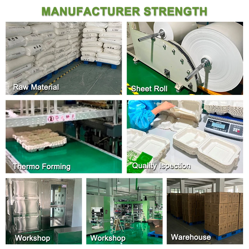 Biodegradable Corn Starch Takeaway Container Take Away Food Packaging Lunch Box Togo Plastic Boxes Restaurant