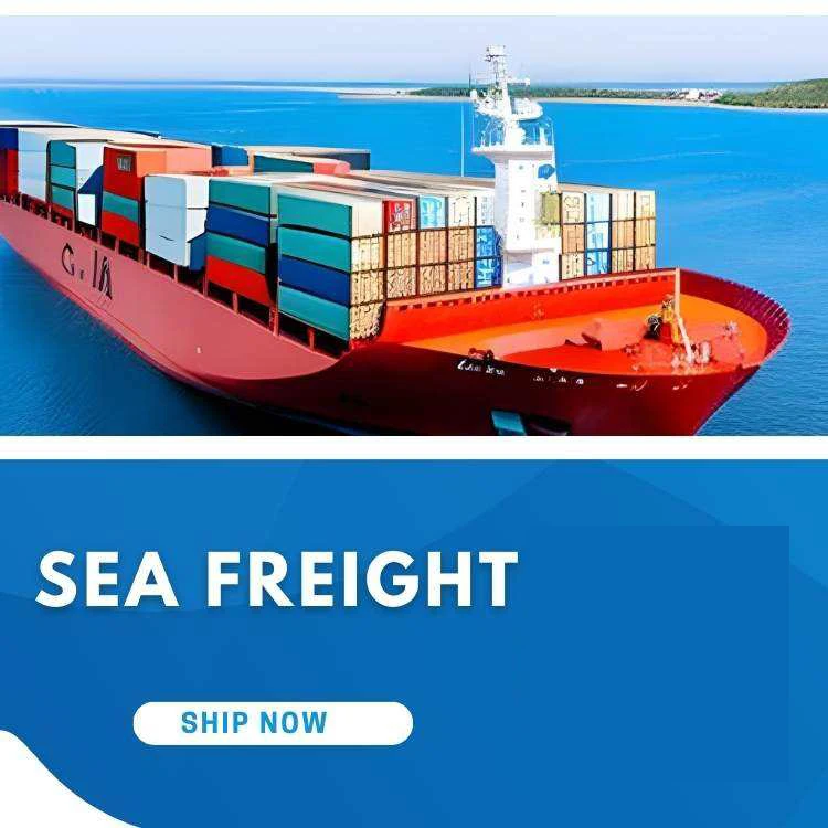 Chinese Zhejiang Shipping Agent Logistics Services Sea Freight Forwarder Ddu Ddp China To Uk