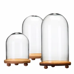 New Design Wood Microlandscape Glass Cover With Foot Wooden Glass Dome Wood Base