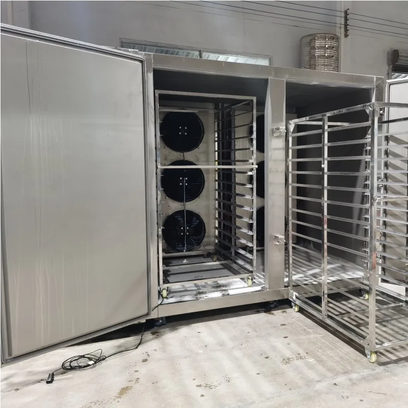 High-Capacity Shock Freeze Chiller: 500kg/h, -45°C, 2200L, 32-Tray System for Industrial-Scale Efficiency
