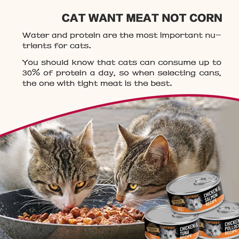 Cat wet food with organic raw material  high protein cat snacks as premium cat canned food