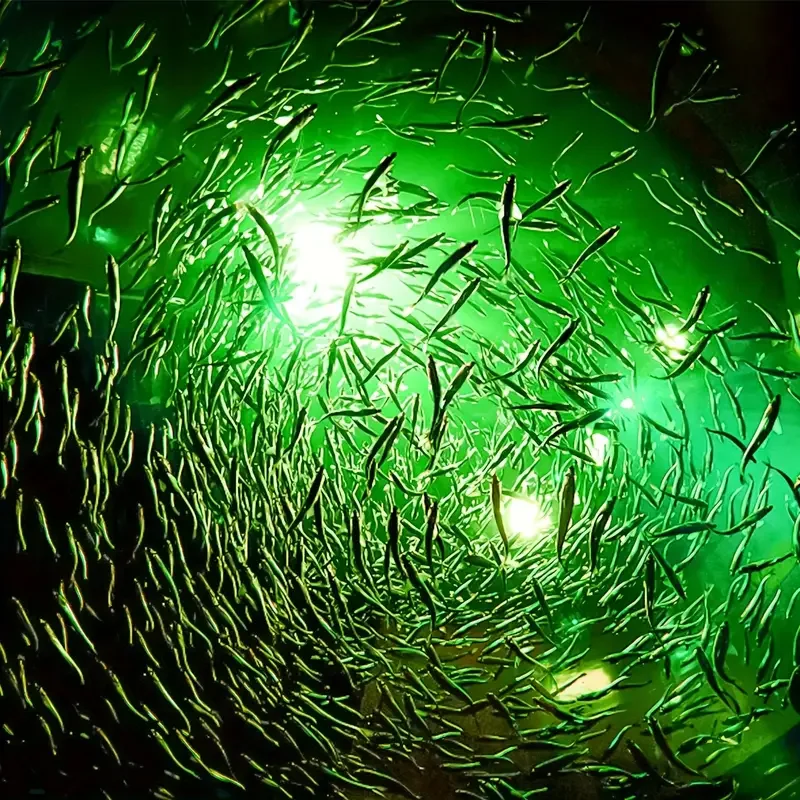 High quality green color IP68 LED fishing light DC12V Underwater luring fishing Light Night Light