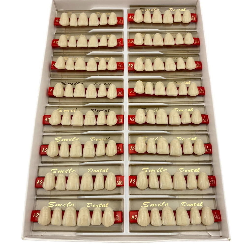 2-lay Synthetic Denture Teeth False Teeth Anterior Dental Acrylic Resin Teeth