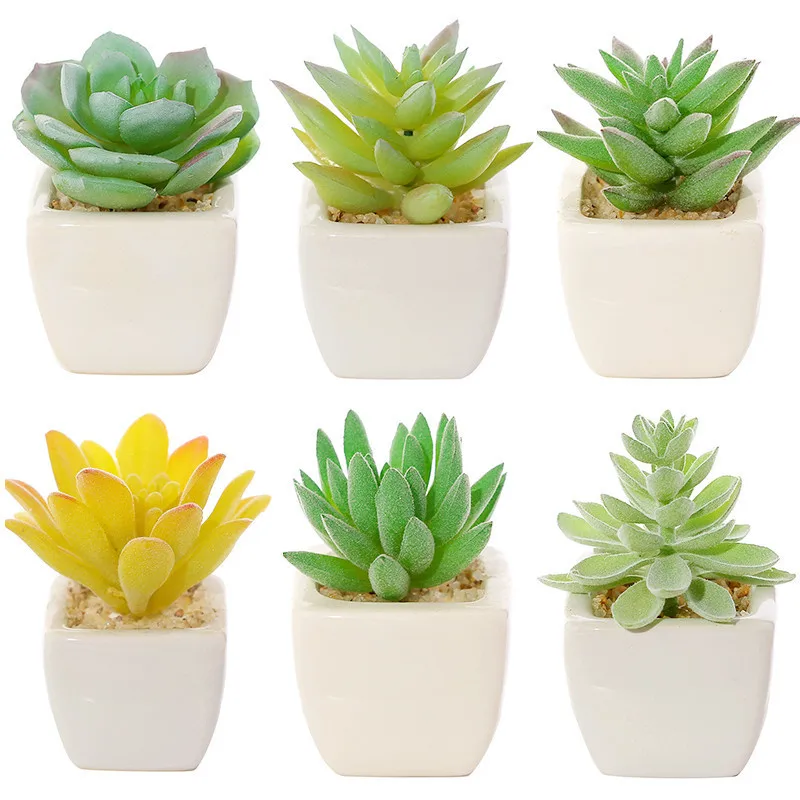Mini Assorted Green Artificial Succulent Plants in Square White/Black Ceramic Potted