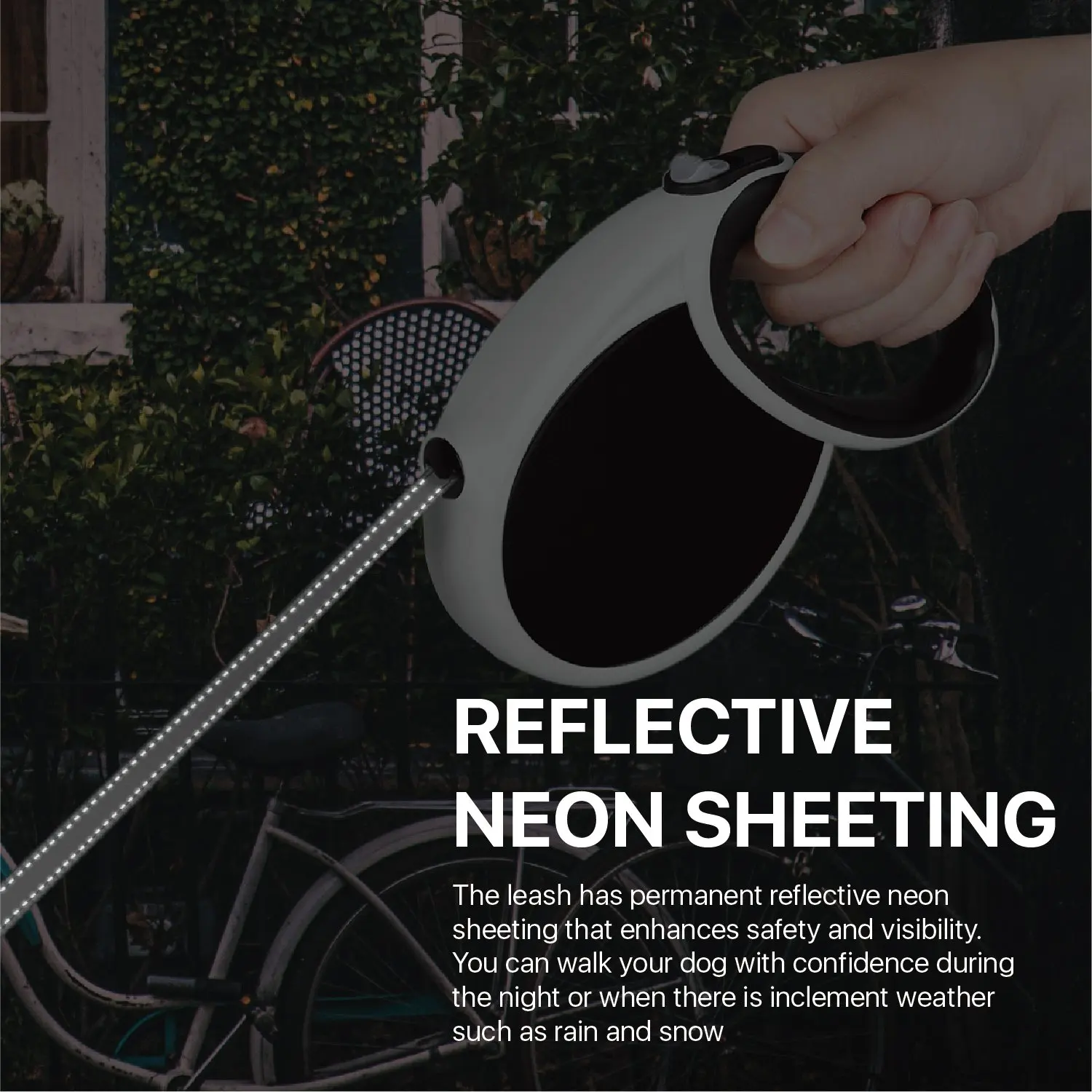 Small to Medium White-04