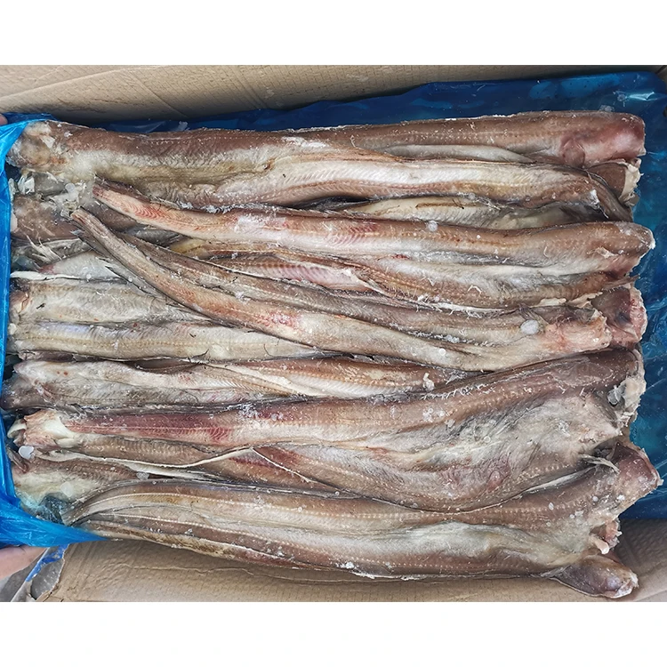Top Quality Fresh Bulk Supplier Nutritious Frozen Eel Fish Frozen Conger Eel Fish