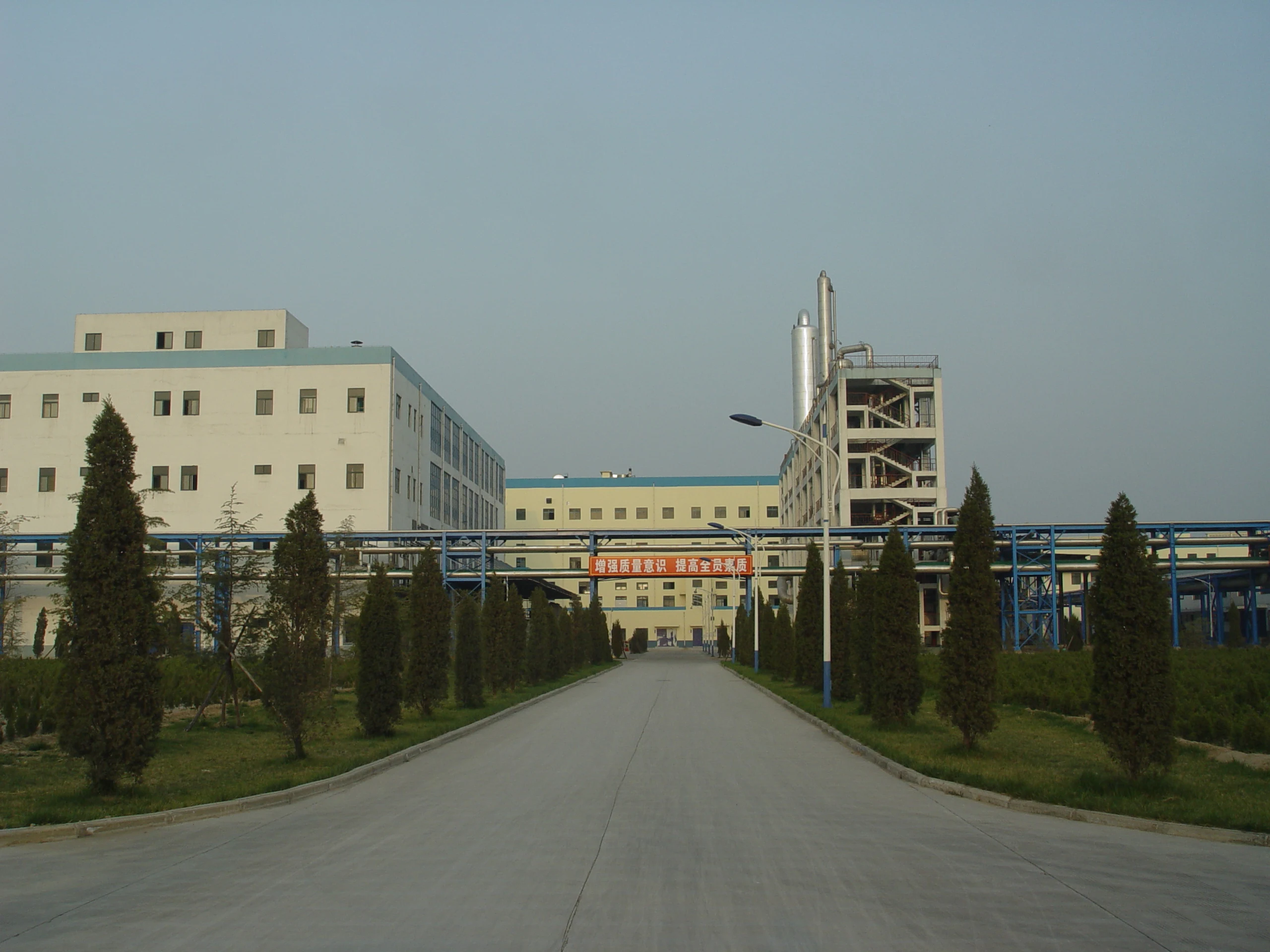 High purity Sodium Hyaluronate CAS 9067-32-7 with fast delivery