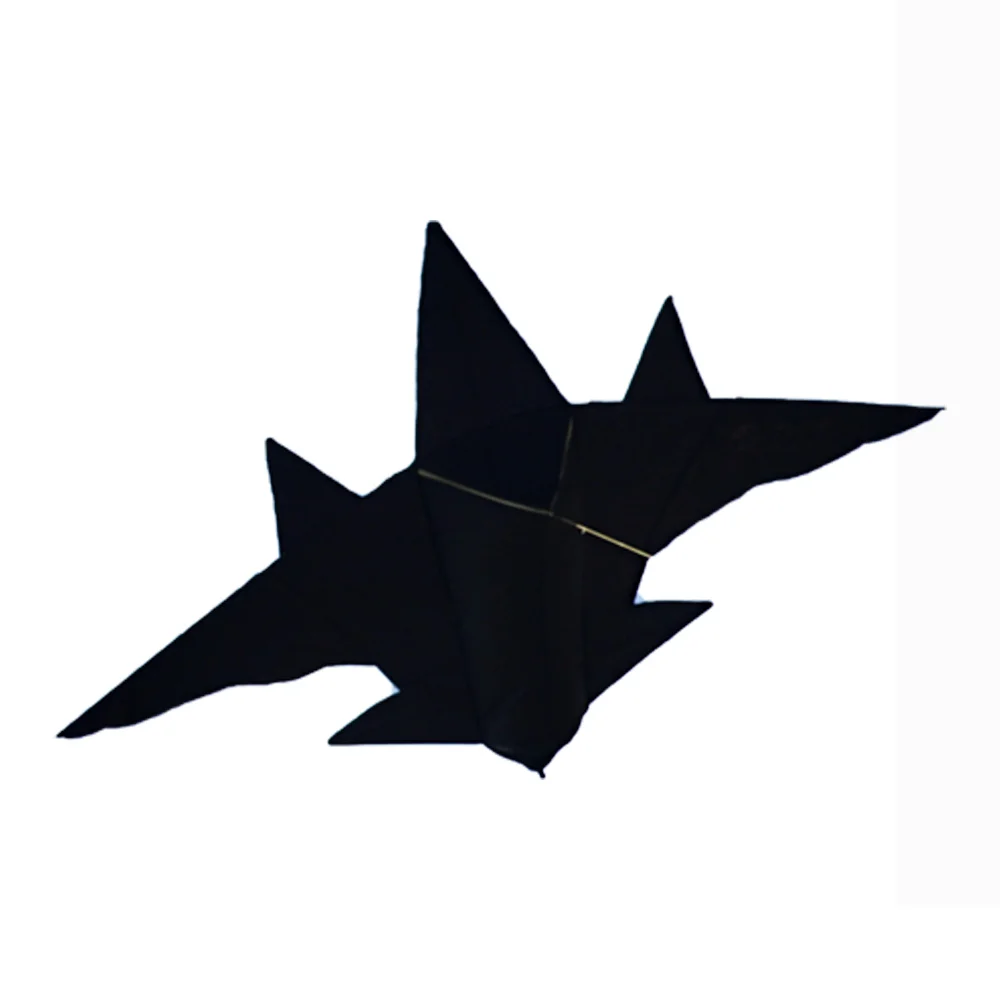 
Made in china hot sell easy flying large plane delta airplane kite china fighter kite 