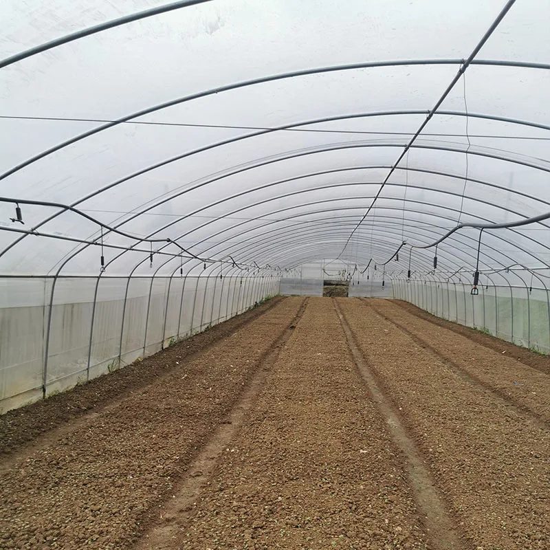Fruits Planting Strawberry Greenhouse Turnkey Project Poly Film Arch Tunnel Arch Plastic Film Strawberry Greenhouse