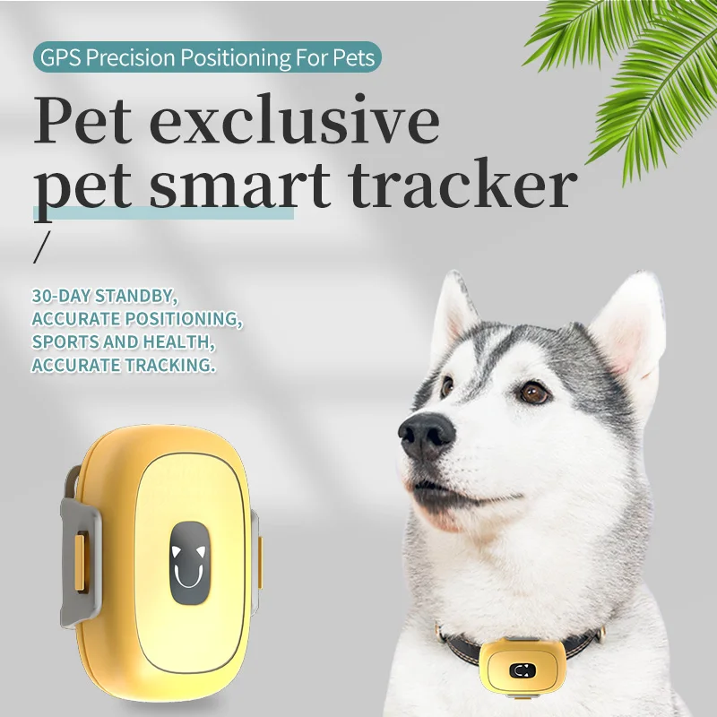 Pet Activity Monitor 4G GPS Tracker Measure Pet Step Historical track Dog Cat Health Monitor with WIFI