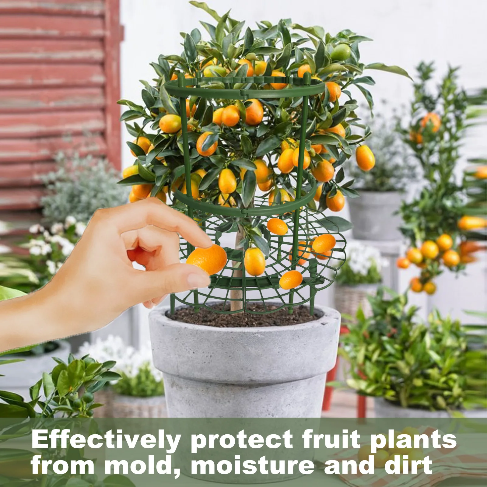 YEGBONG Strawberry Stand Frame Holder Balcony Planting Rack Fruit Support Plant Flower Climbing Vine Pillar Gardening Stand