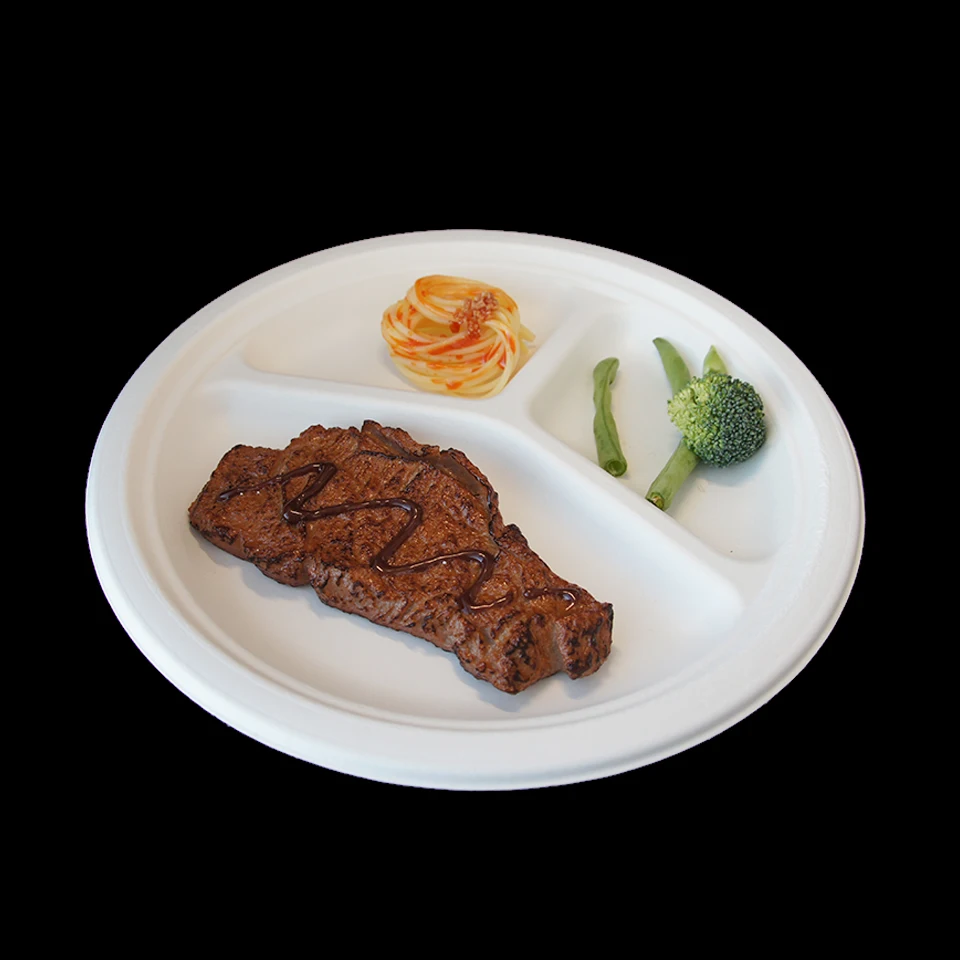 sugarcane pulp bagasse 9 inches biodegradable plates