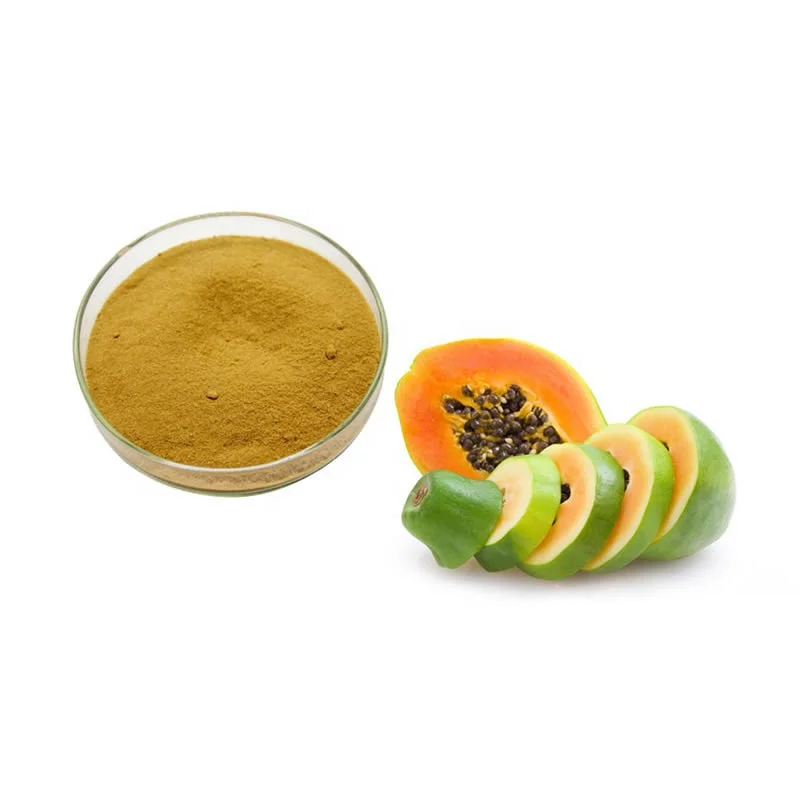 High Quality Dried Papaya extract powder Pawpaw Powder