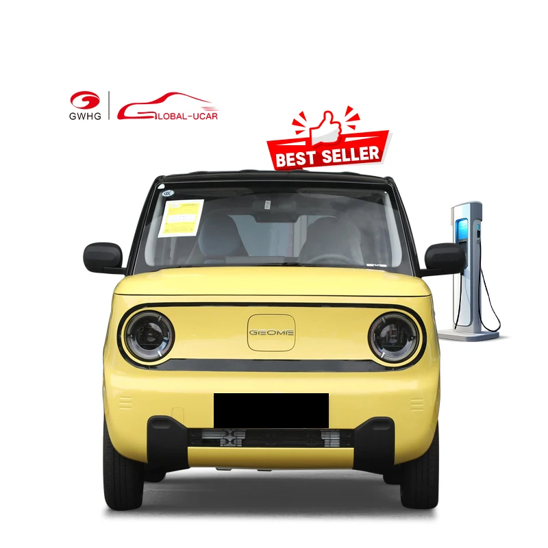 Affordable Alternatives 4 Seater Electric Mini Car Geely Panda Mini Ev Used Hatchback For Adult
