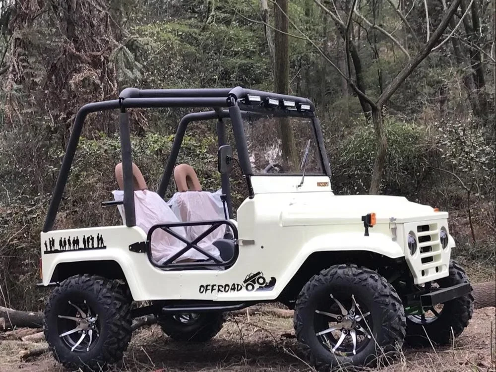 
Hot Sell 4 Seats Electric Jeep 3000W UTV Buggy For Adult 