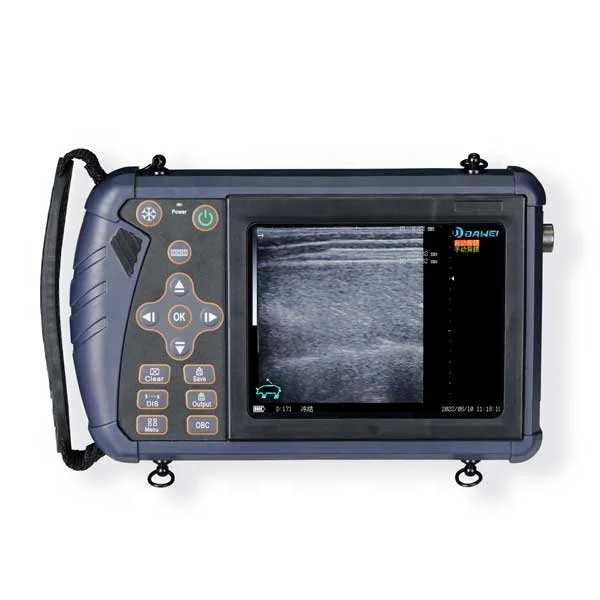 Dawei Sheep Ultrasound b/w Portable Ultrasound Linear Probe Veterinary Ultrasound Instruments