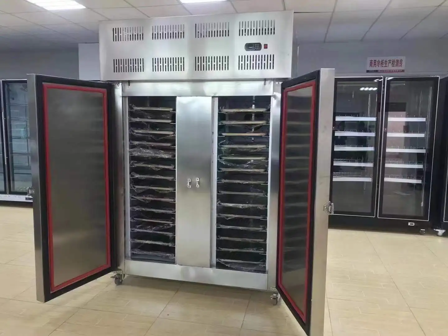 15 Plates Cold Storage Blast Freezer Instant Freeze Cabinet with 300 L Volume Deep Freezer