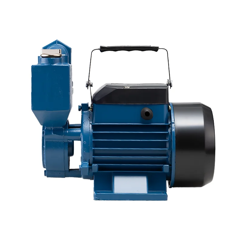 Bombas De Agua 1Hp Electric Self Priming Cleaning Water Supply Pressure Booster Pump Home for Irrigation