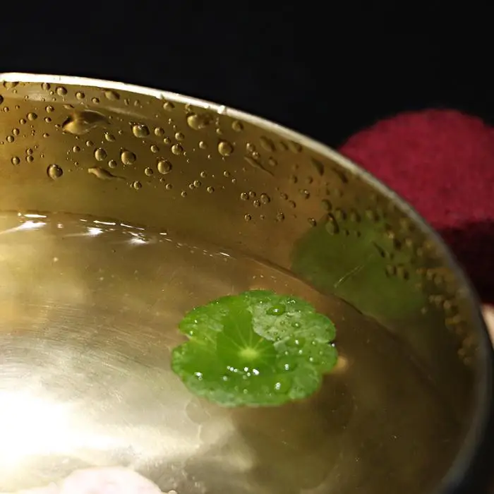 Tibetan Meditation Yoga Singing Bowl Set  With  CushioN For Meditation Chakra Healing