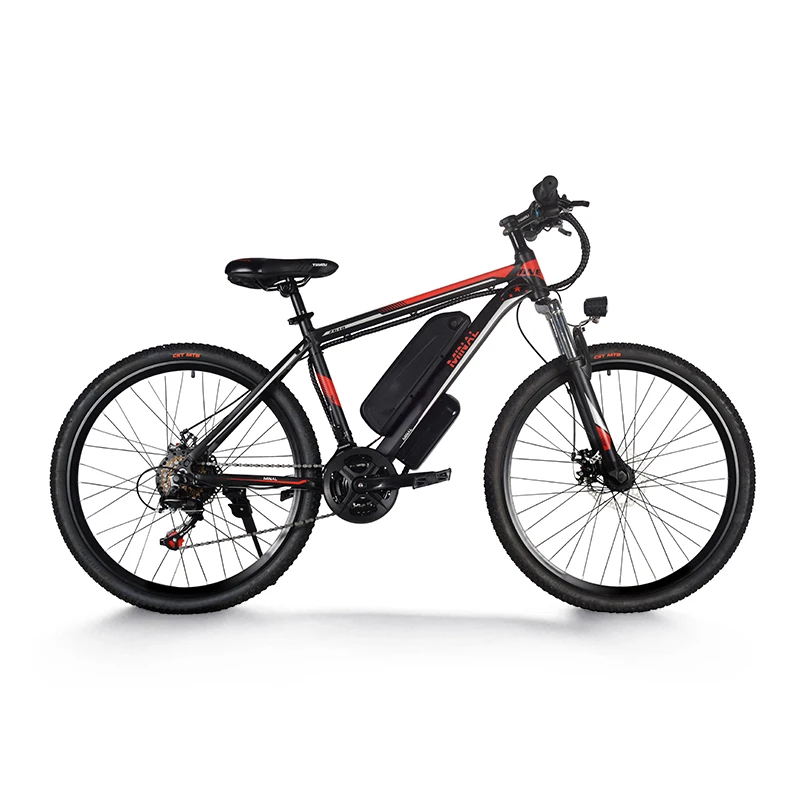 48V 10.5Ah 250W 7 Speed Electric Bicycle Powerful City Fat Tire Bike with Lithium Battery Rear Hub Motor for Adults
