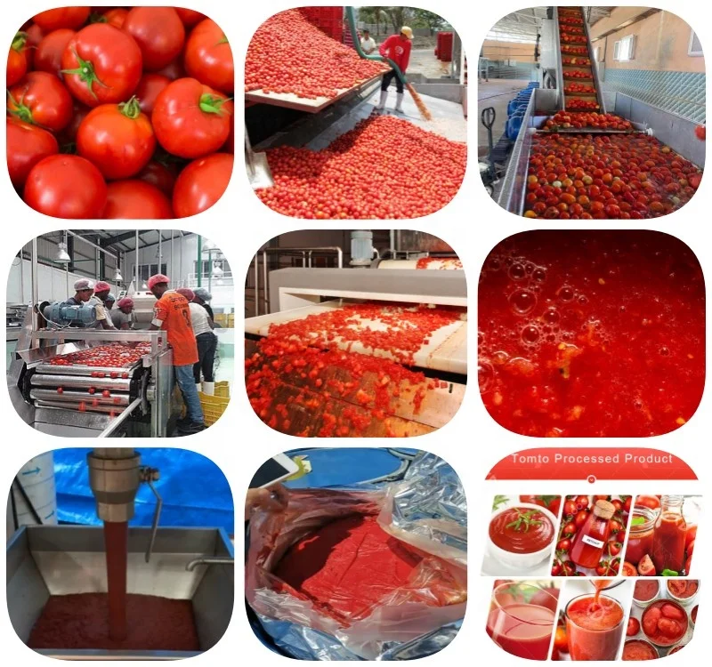 Automatic Small Processing Plant Professional Tomato Jam Production Line Tomato Paste Processing Machine Price To Make Jam
