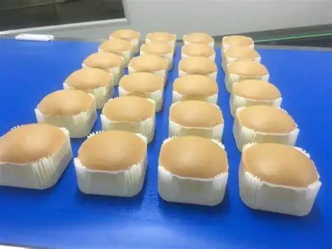 Wanli Automatic Sponge Cakes Depositor Machine For Cake Coating