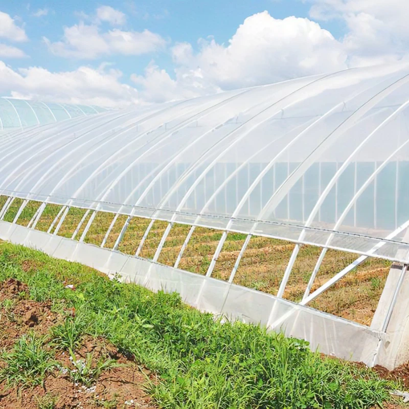 Multi-Use Film Greenhouse for Diverse Crop Rotation Techniques and Yield Improvement Strategies