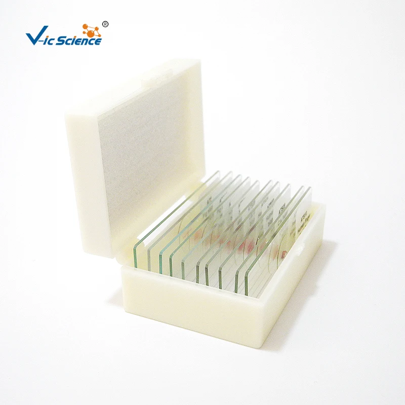 15 Pieces Prepared Slides Biological Medical Microscope Prepared Slides