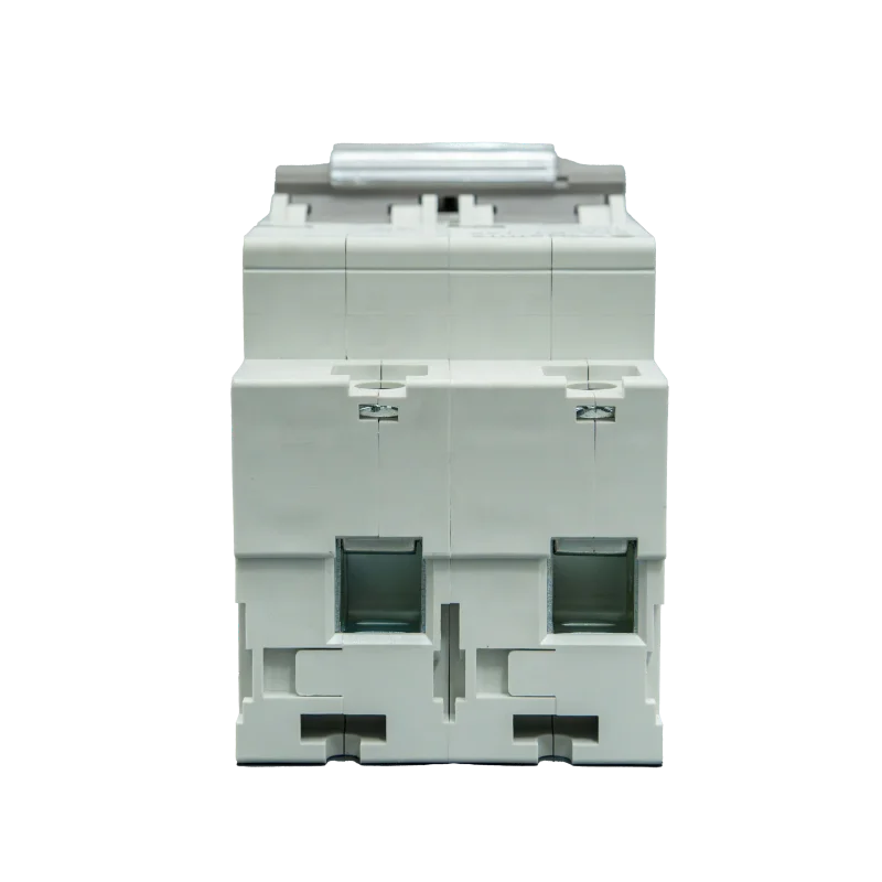 2 Pole Circuit Breaker Mcb Parts Low Voltage DIN Rail Products Mcb Safety Electrical 2P 125A Minitype Breaker