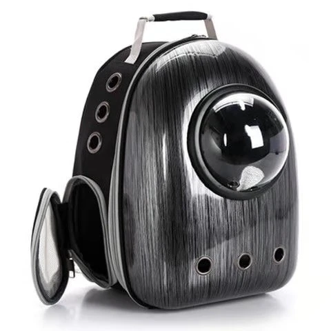 Настраиваемый Прозрачный чехол для переноски домашних животных из мультфильма