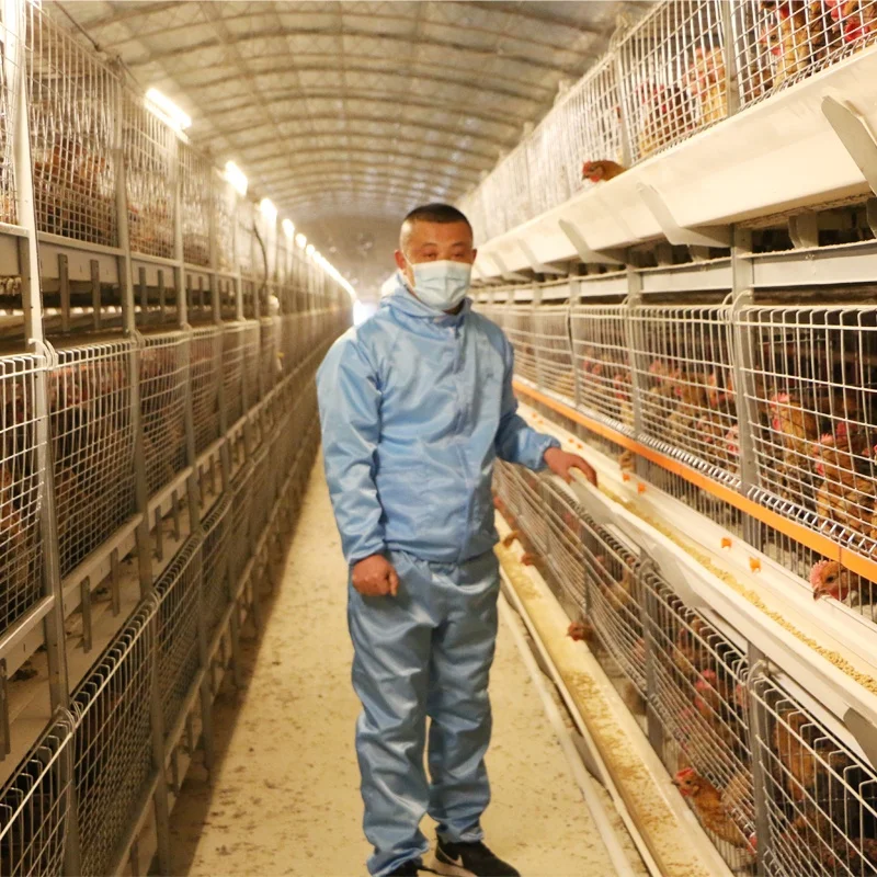 Automatic Manual Poultry h Type  Battery Broiler Breeder Chicken Cage Equipment  Chicken Water Drinking