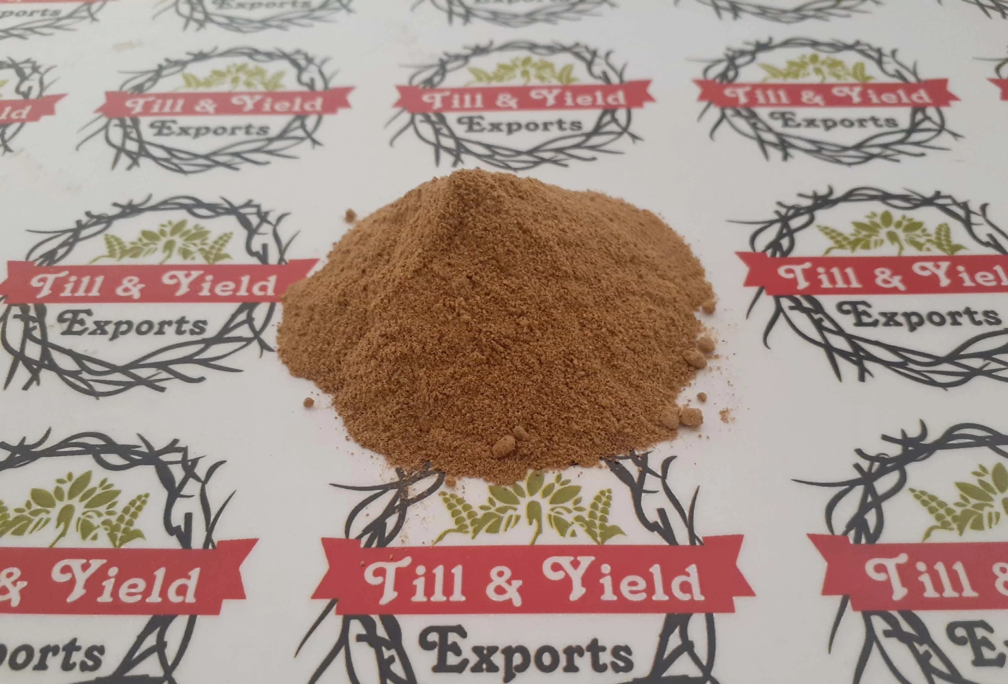 High Quality Natural Organic Ginger Extract Powder 1% by HPCL Ginger Root Extract Powder