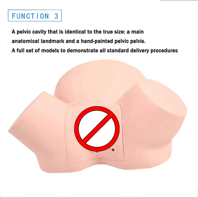 Medical Midwifery Training Model Difficult Labor Model Advanced Dystocia Simulator